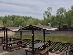 -尚庄度假村·庭台树下·户外烧烤·团建CS·轰趴营地(上庄水库店)