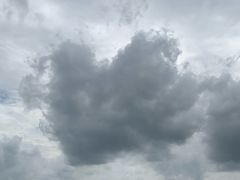 -观潮胜地公园
