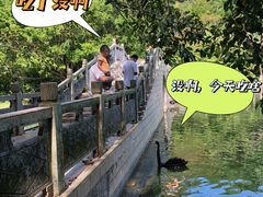 -广东茂名森林公园