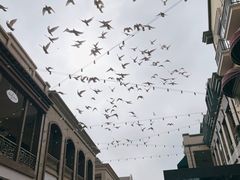 -王府井奥莱临潼小镇(临潼店)