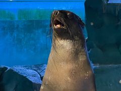 -常州海昌海洋探索馆