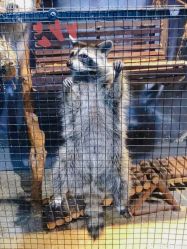 -酷嗒动物文化乐园(cutezoo西溪乐天城店)