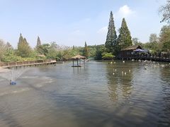 -溱湖国家湿地公园