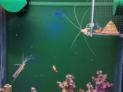 -大连圣亚海洋世界