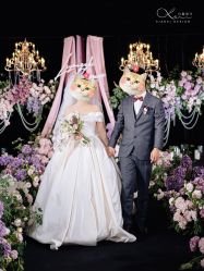 -南昌喜来登酒店·宴会厅