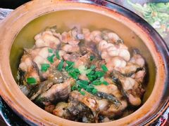 -红星光发煲仔饭(大石街店)