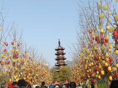 -龙华寺
