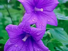 -莞府家宴·东莞菜(市民服务中心店)