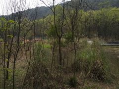 -西湖风景区-江洋畈生态公园