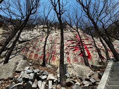 -沂蒙山旅游区龟蒙景区