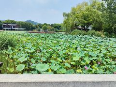 -石湖景区