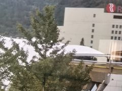 -泰安东尊华美达广场酒店(泰山景区店)