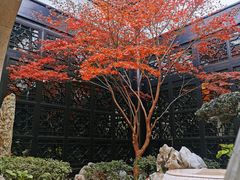-上海皇廷花园酒店·西餐厅·自助餐