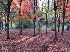 -长春市南湖公园