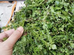 -丝绸小镇荻港古村