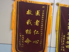 -中农国际动物医院24小时·猫科·骨科·急重症中心
