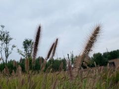 -汉长安城未央宫国家考古遗址公园