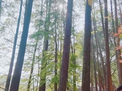 -东湖落雁景区
