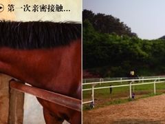 -红山体育乐园