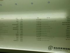 -青岛贝壳博物馆