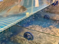 -银珠渔港·海鲜砂锅粥