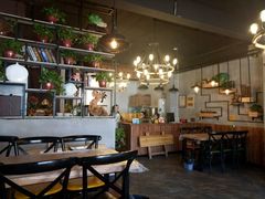 -猫姑娘大盘鸡(商城路店)