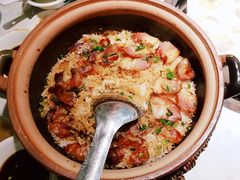 -广顺鑫猪肚鸡(经八路店)