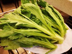 茼蒿-八先生涮肉房(三里河店)