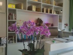 -广生源养发养生馆