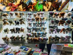 -中环花鸟鱼虫市场