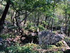 -大岭沟猕猴桃谷风景区