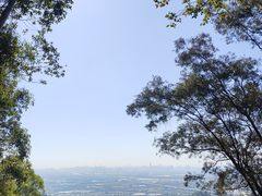 -滴水岩森林公园