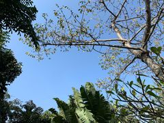 -厦门日月谷温泉渡假村