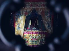 -Mr.Fox狐狸先生超级密室(南山店)