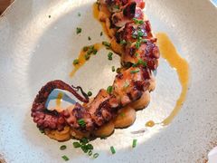 香烤八爪鱼腿-Apollo·西班牙小酒馆(安福路店)