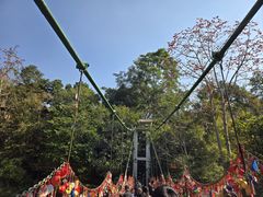 -西双版纳原始森林公园