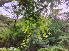 -狼山风景名胜区