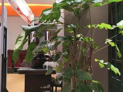 -福照楼汽锅鸡·云南菜(护国路店)