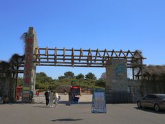 -塘沽森林公园
