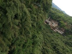 -川西竹海景区
