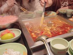 -蜀江龙火锅(339店)