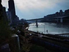 -李子坝梁山鸡(李子坝大鸡哥店)