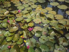 -白沙门生态公园