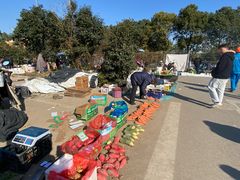 -雪绒花路停车场