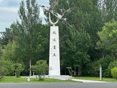 -黑龙江扎龙生态旅游区