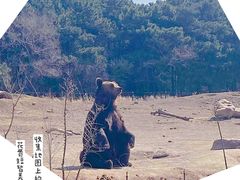 -沈阳森林动物园
