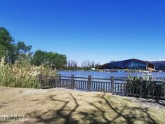 -上海长兴岛郊野公园