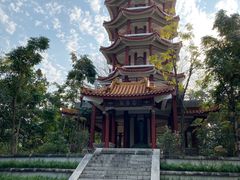 -深圳仙湖植物园