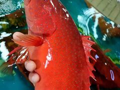 -丁字口海鲜热炒·烧烤大排档