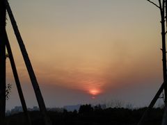 -白鹭湾湿地公园